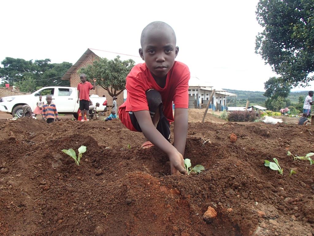 180017 - Uganda: Gemüsegärten an Schulen