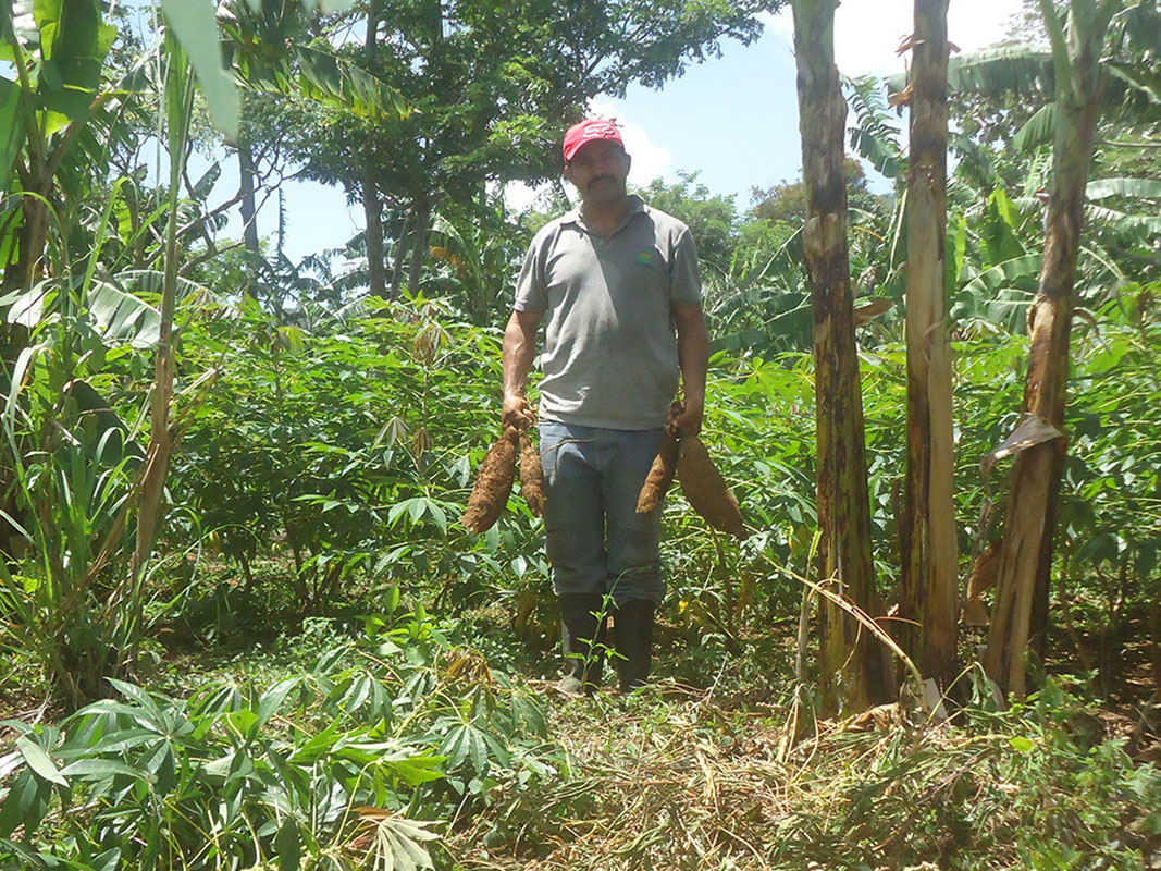 220017 - Nicaragua: Mit dem Kleinlaster zum Markt