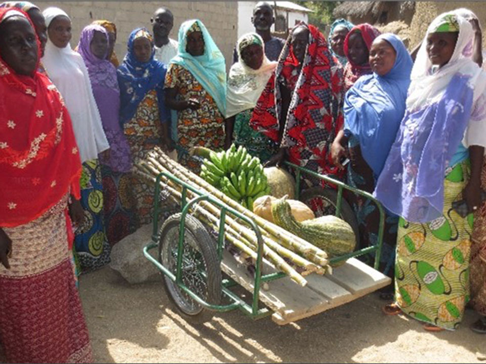 220030 - Kamerun: Schubkarren und Tricycles geben Bäuerinnen neuen Antrieb