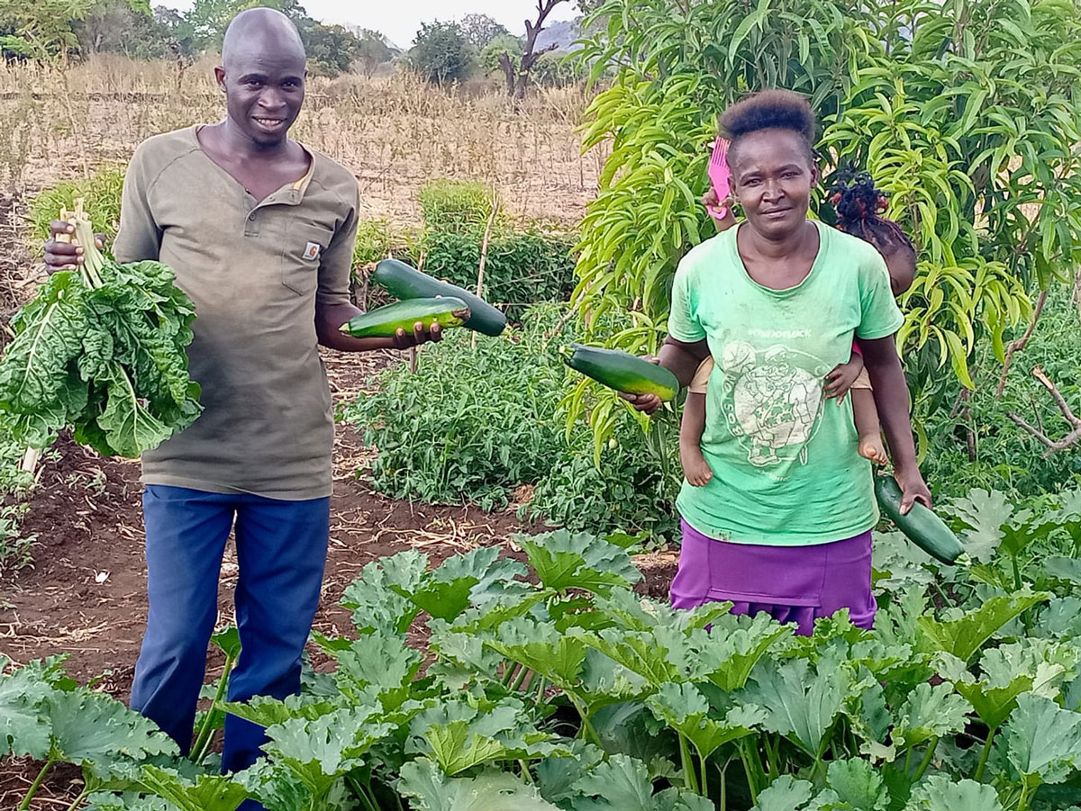 220039 - Kenya: sfidare la siccità con sementi resistenti alla siccità e agricoltura biologica