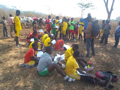 230049 - Kamerun: Neue Chancen für Jugendliche dank landwirtschaftlicher Berufsbildung 