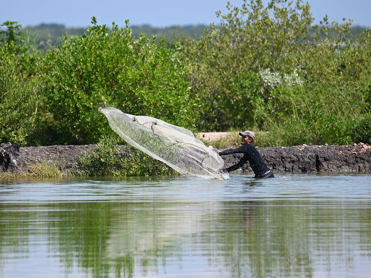 240011 - Honduras: Protéger la nature pour assurer la subsistance et prévenir l’émigration