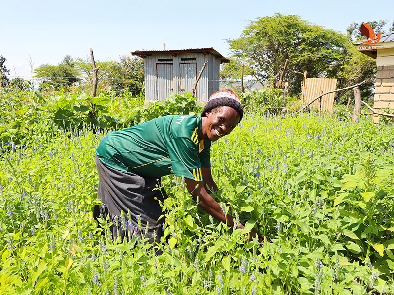 240031 - Kenia: Bio-Landbau und Aufklärungsarbeit zu Genitalverstümmelung