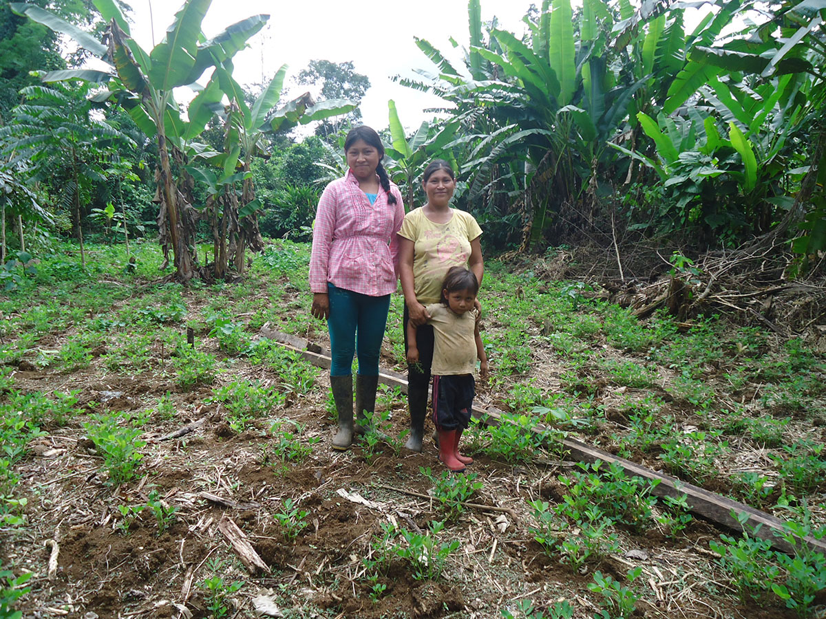 250026 - Ecuador: Stärkung indigener Produzenten