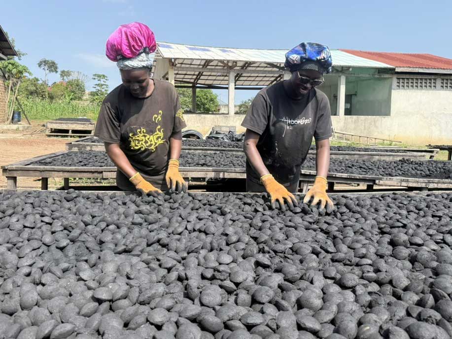 250038 - Kamerun: Grüne Kohle als ökologischer und wirtschaftlicher Energieträger