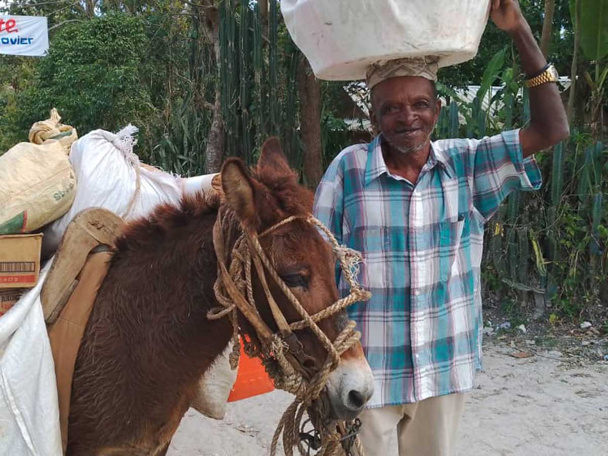 260009 - Haiti: Lasttiere verbessern Transportmöglichkeiten und Lebensbedingungen im Bergland