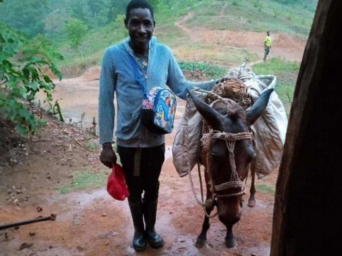 220018 - Haiti: Maultiere als einzige Transportmöglichkeit